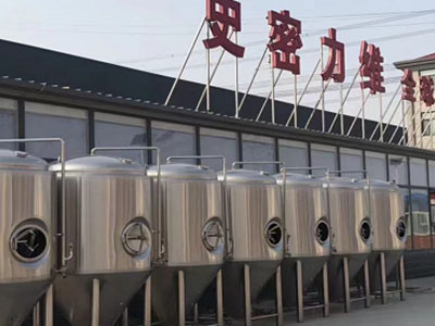 阳朔精酿啤酒设备厂—如何判断精酿啤酒设备的密封件需要更换？